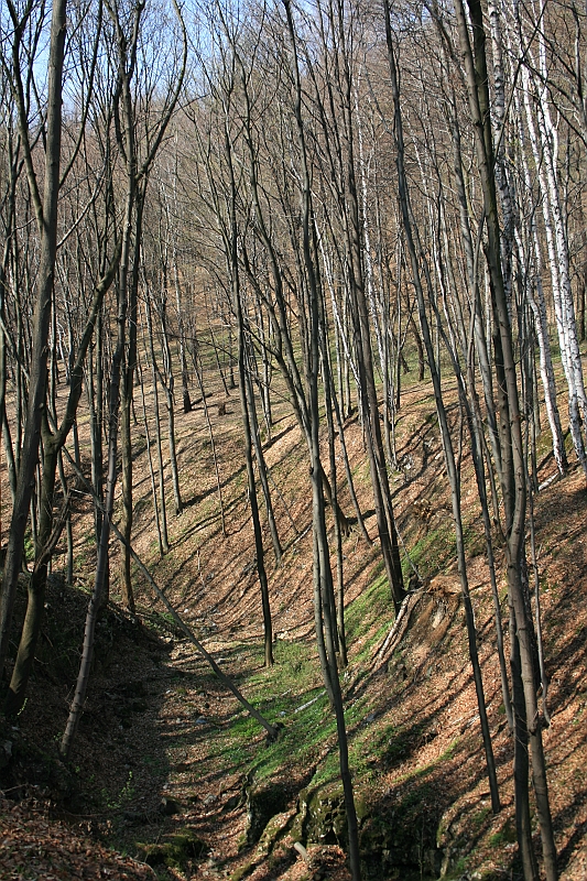czatkowice 067